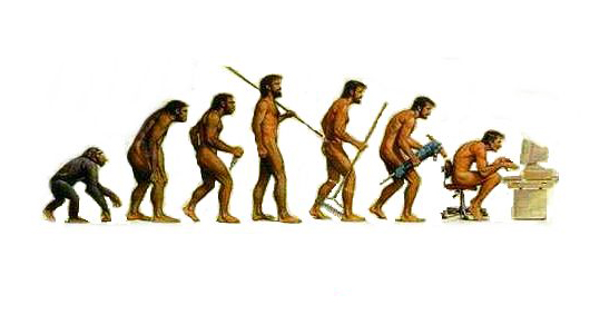 cultural-evolution