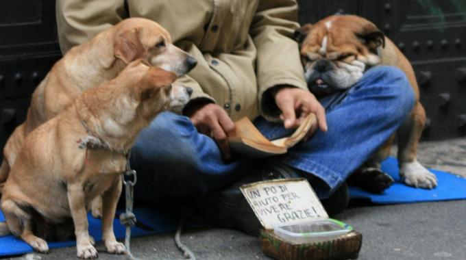 2298081-stefano2_004